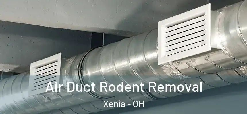  Air Duct Rodent Removal Xenia - OH