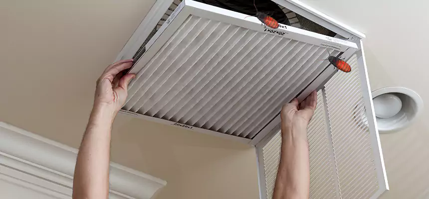 Our Insect Removal from Air Ducts Services in Xenia, OH