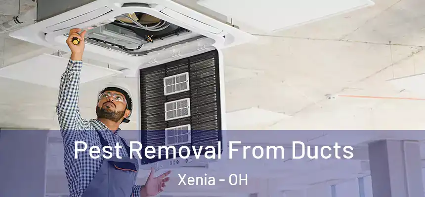  Pest Removal From Ducts Xenia - OH