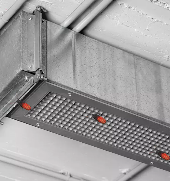 About Air Duct Cockroach Removal in Xenia, OH