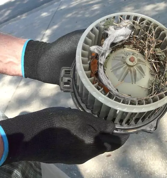 About Air Duct Rat Removal in Xenia, OH