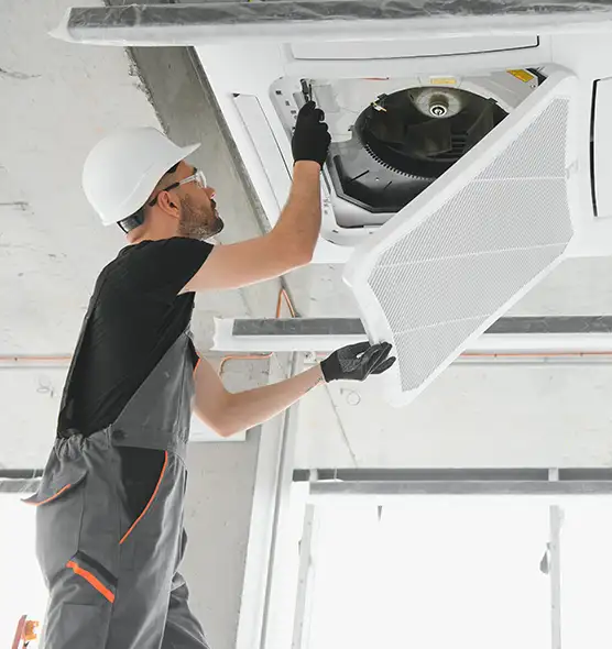 About Air Duct Rodent Removal in Xenia, OH