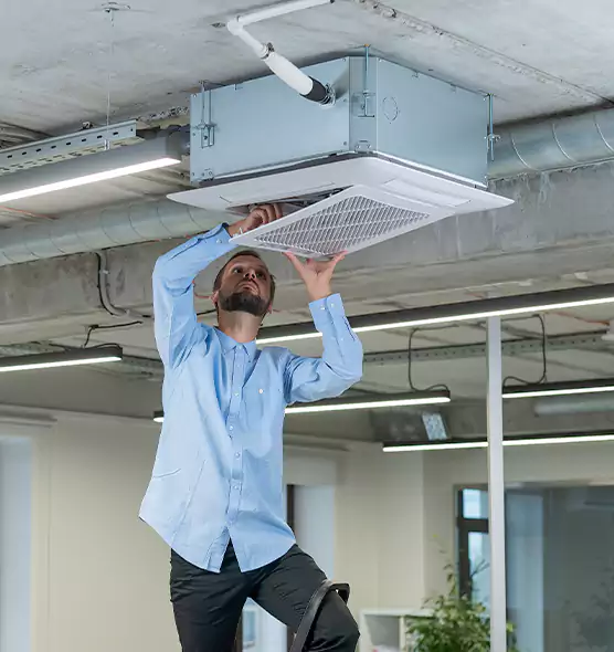 Advanced Rodent Droppings In Vents in Xenia, OH