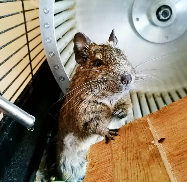 Why Homeowners & Businesses Trust Us Xenia, OH?